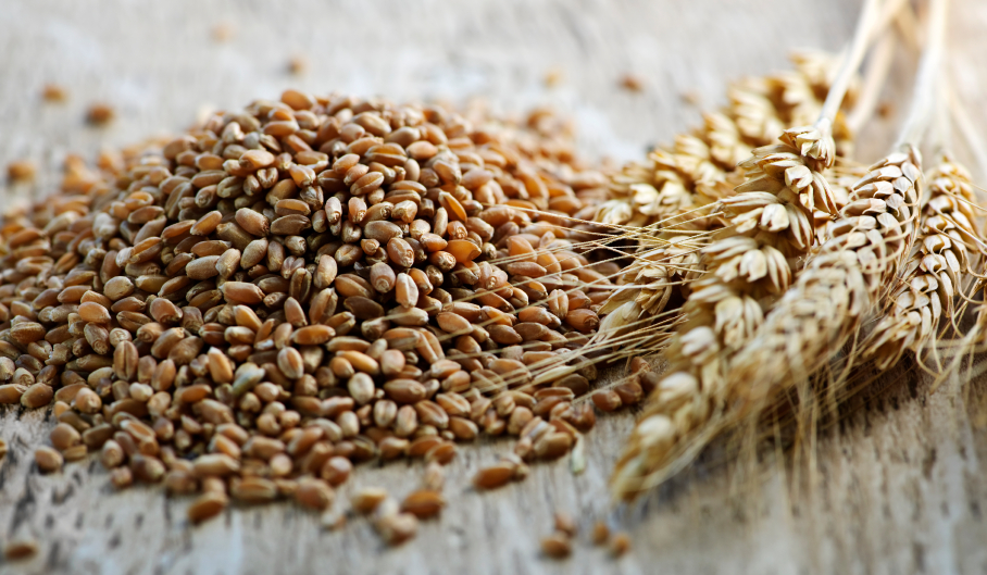 milyen gabonafélék fogyaszthatók magas vérnyomás esetén