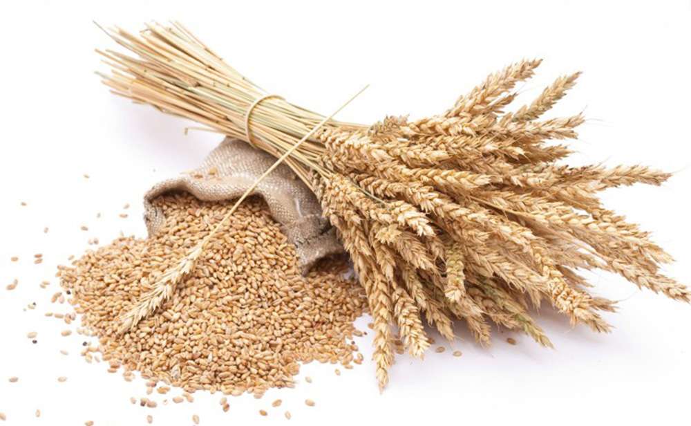 A 4 legegészségesebb gabonaféle, ami segít, hogy fittebb legyél! | oroszfegyver.hu