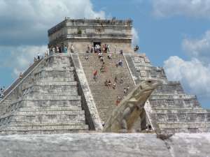 Chichen Itzá, Iguana......