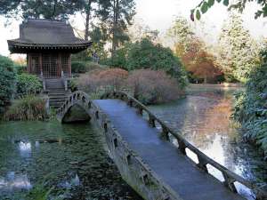 Japán kert (Tatton Park)
