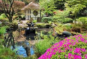 Japán kert (Tatton Park)